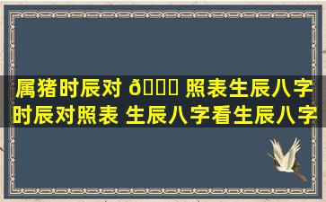 属猪时辰对 🐒 照表生辰八字（时辰对照表 生辰八字看生辰八字）